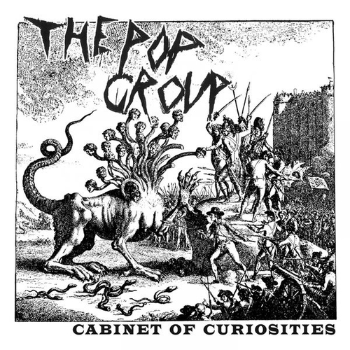 Couverture CABINET OF CURIOSITIES de THE POP GROUP