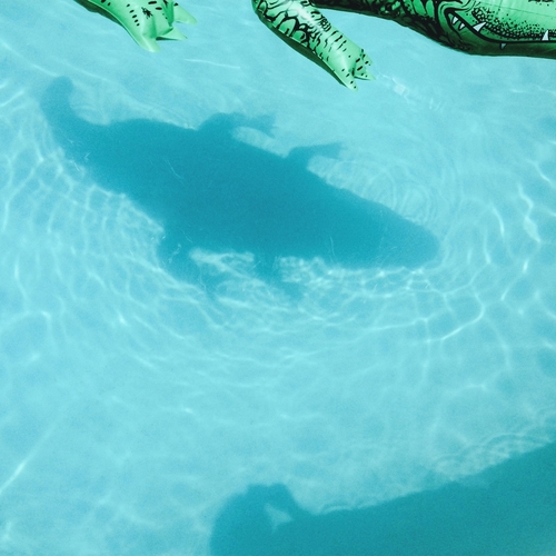 Couverture THE OFFICIAL BODY de SHOPPING