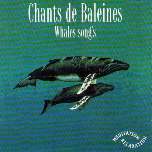 Couverture CHANTS DES BALEINES