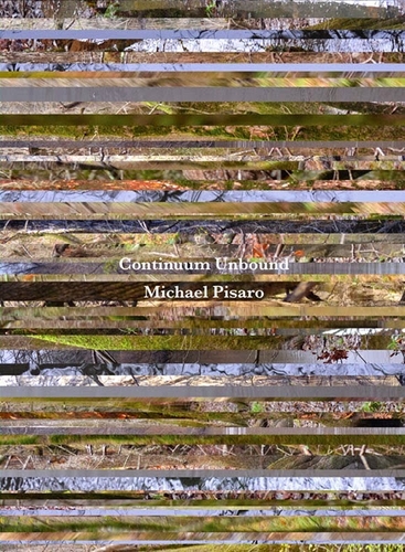 Couverture CONTINUUM UNBOUND de Michael PISARO