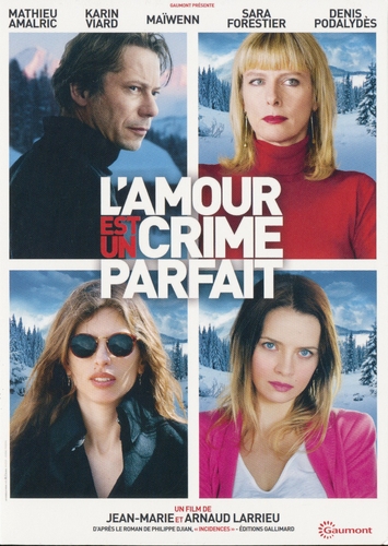 Couverture L'AMOUR EST UN CRIME PARFAIT de Jean-Marie LARRIEU