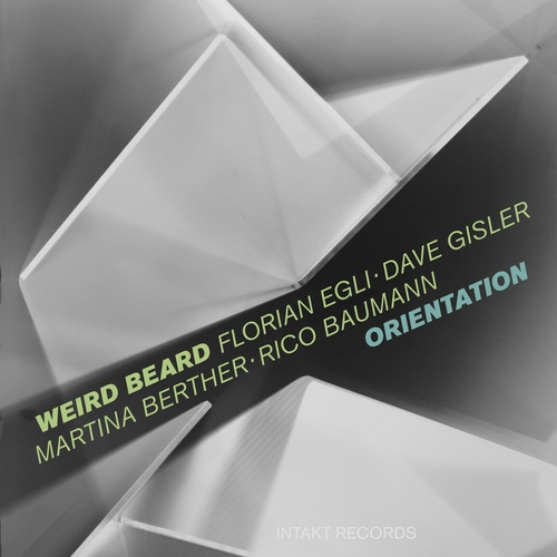 Couverture ORIENTATION de Florian EGLI WEIRD BEARD