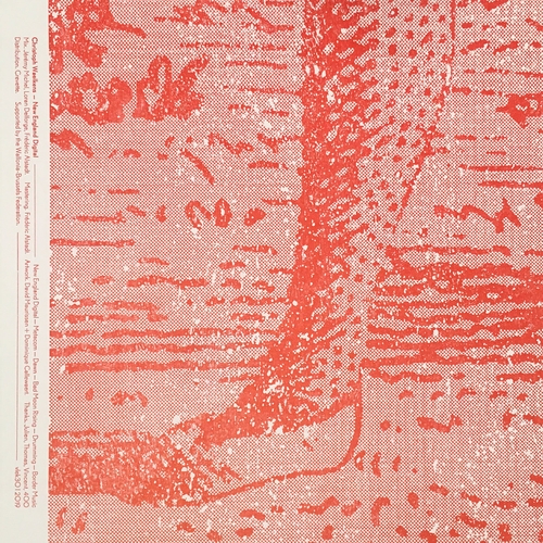 Couverture NEW ENGLAND DIGITAL de Christoph WAELKENS