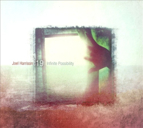 Couverture INFINITE POSSIBILITY de Joel HARRISON 19