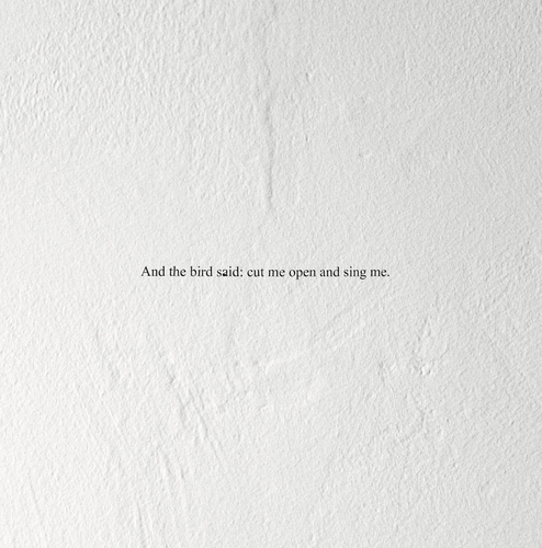 Couverture AND THE BIRD SAID: CUT ME OPEN AND SING ME de PRAIRIE