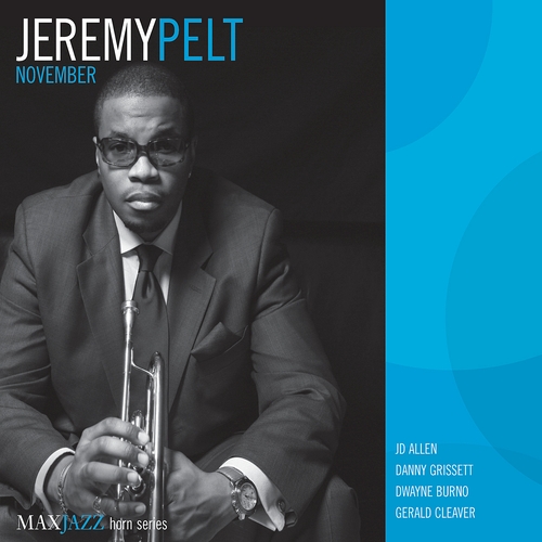 Couverture NOVEMBER de Jeremy PELT