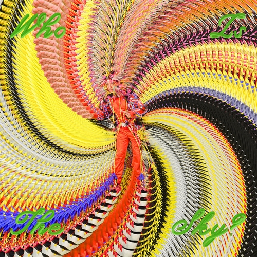 Couverture WHO IS THE SKY? de David BYRNE