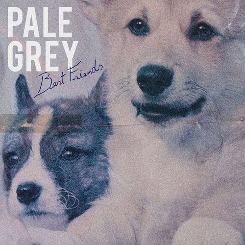 Couverture BEST FRIENDS de PALE GREY