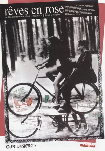 Couverture RÊVES EN ROSE de Dusan HANÁK