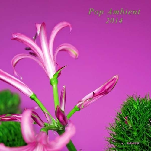 Couverture POP AMBIENT 2014