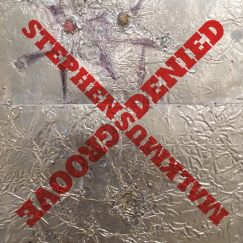 Couverture GROOVE DENIED de Stephen MALKMUS