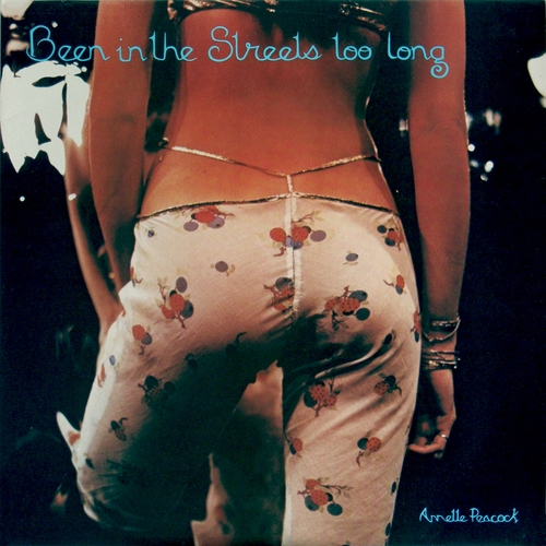 Couverture BEEN IN THE STREETS TOO LONG de Annette PEACOCK