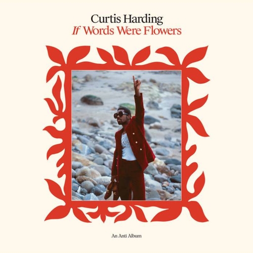 Couverture IF WORDS WERE FLOWERS de Curtis HARDING