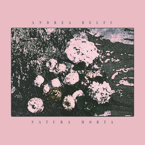 Couverture NATURA MORTA de Andrea BELFI