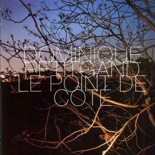 Couverture LE POINT DE CÔTÉ de Dominique PETITGAND