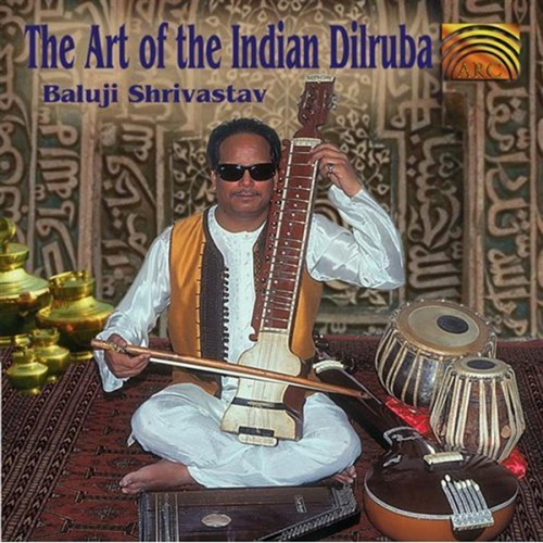 Couverture ART OF THE INDIAN DILRUBA de Baluji SHRIVASTAV