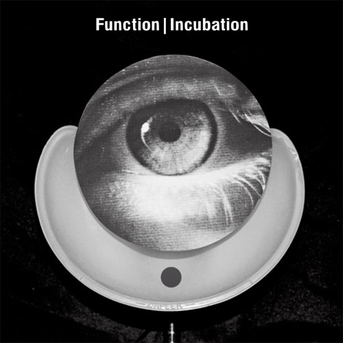 Couverture INCUBATION de FUNCTION