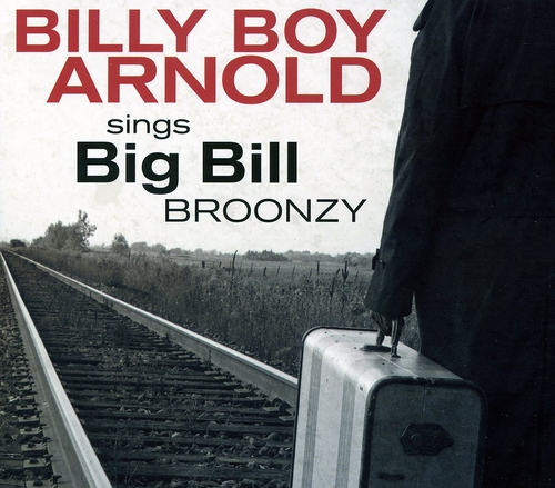 Couverture SINGS BIG BILL BROONZY de Billy Boy ARNOLD