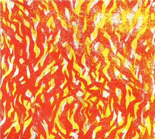 Couverture FIRE de THE BUG