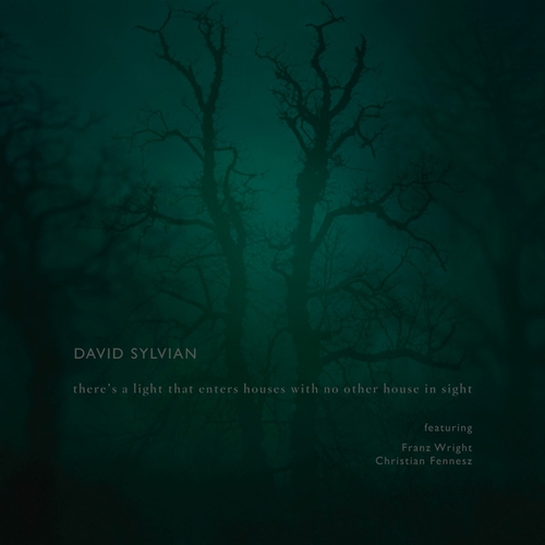 Couverture THERE'S A LIGHT THAT ENTERS HOUSES WITH NO OTHER HOUSE IN SI de David SYLVIAN