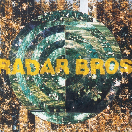 Couverture THE FALLEN LEAF PAGES de RADAR BROS.