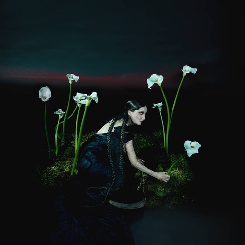 Couverture A REQUIEM de Penelope TRAPPES