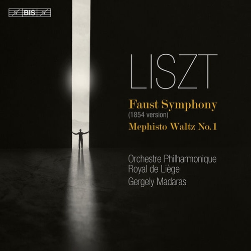 Couverture FAUST SYMPHONY / MEPHISTO WALTZ N°1 de Franz LISZT