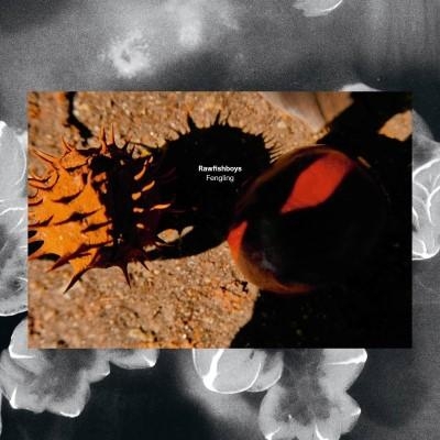 Couverture FENGLING de RAWFISHBOYS