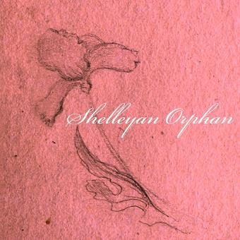 Couverture SHELLEYAN ORPHAN (BOX SET) de SHELLEYAN ORPHAN