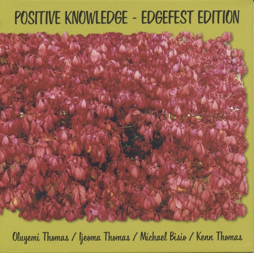 Couverture POSITIVE KNOWLEDGE (EDGEFEST EDITION) de POSITIVE KNOWLEDGE