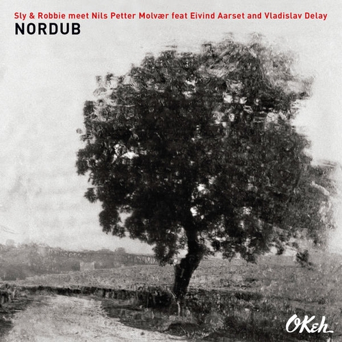 Couverture NORDUB de Nils Petter MOLVAER FT EIVIND AARSET/VLADISLAV DELAY