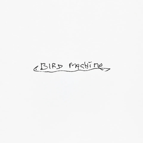 Couverture BIRD MACHINE de SPARKLEHORSE
