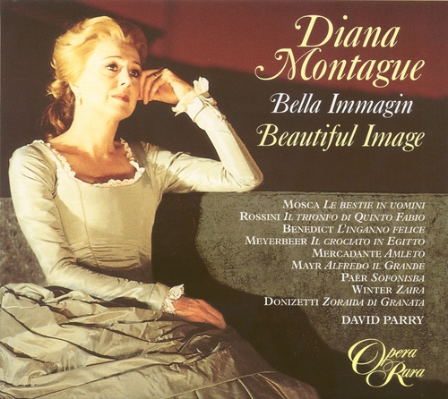 Couverture DIANA MONTAGUE - BELLA IMMAGIN