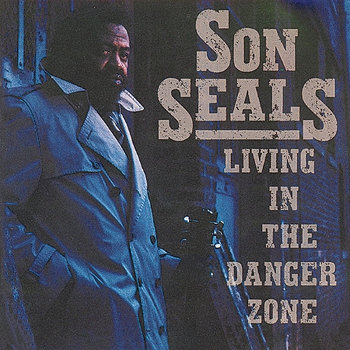 Couverture LIVING IN THE DANGER ZONE de Son SEALS