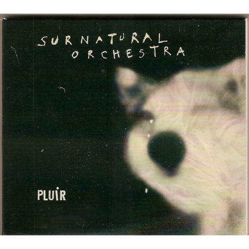 Couverture PLUIR de SURNATURAL ORCHESTRA