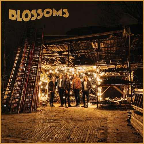 Couverture BLOSSOMS de BLOSSOMS