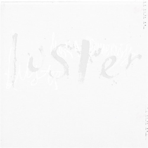 Couverture LUSTER de Maria SOMERVILLE