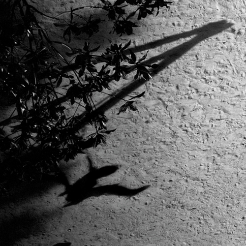 Couverture BLUE NOTEBOOKS de Max RICHTER