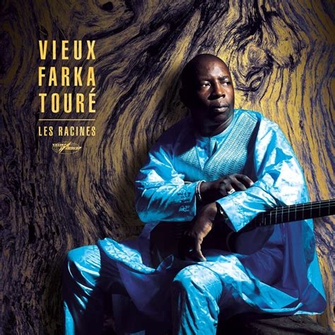 Couverture LES RACINES de Vieux Farka TOURÉ