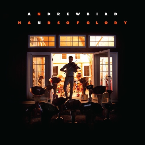 Couverture HANDS OF GLORY de Andrew BIRD