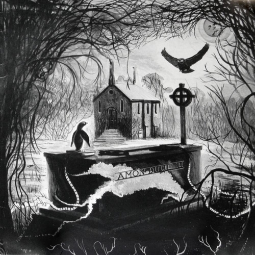 Couverture HAWK MEETS PENGUIN de AMON DÜÜL