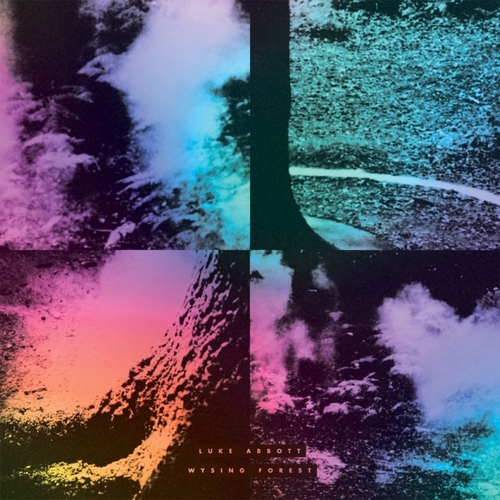 Couverture WYSING FOREST de Luke ABBOTT