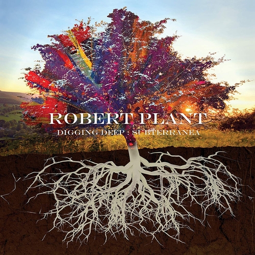 Couverture DIGGING DEEP : SUBTERRANEA de Robert PLANT