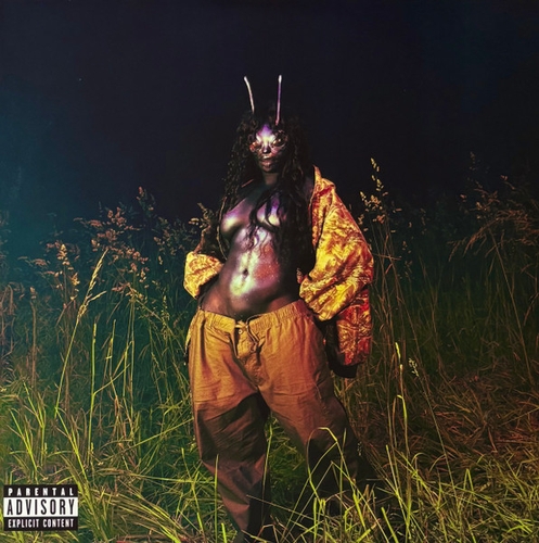 Couverture SOS DELUXE de SZA