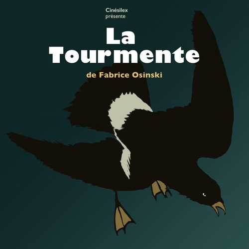 Couverture LA TOURMENTE de Fabrice OSINSKI