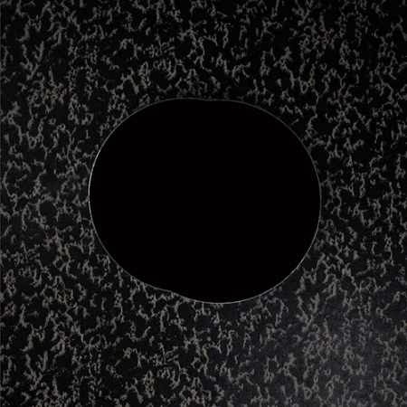 Couverture BIG WAD EXCISIONS de COPPICE