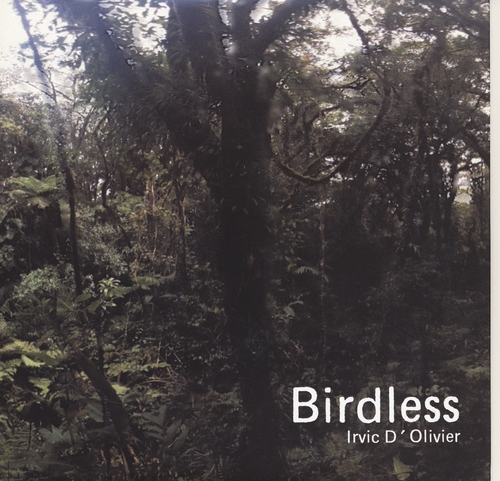 Couverture BIRDLESS de Irvic D'OLIVIER