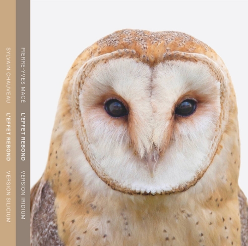 Couverture L'EFFET REBOND