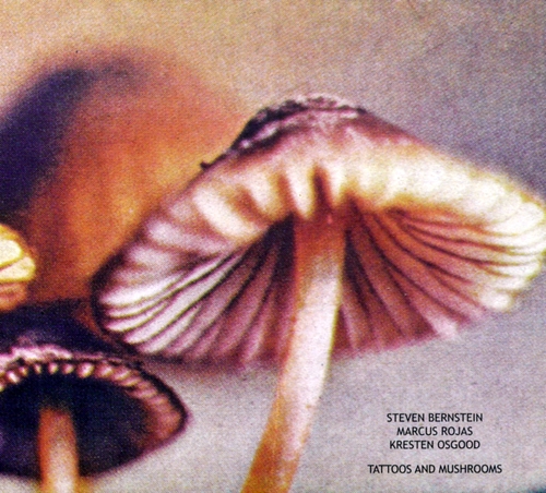 Couverture TATTOOS AND MUSHROOMS de Steven BERNSTEIN/MARCUS ROJAS/KRESTEN OSGOOD