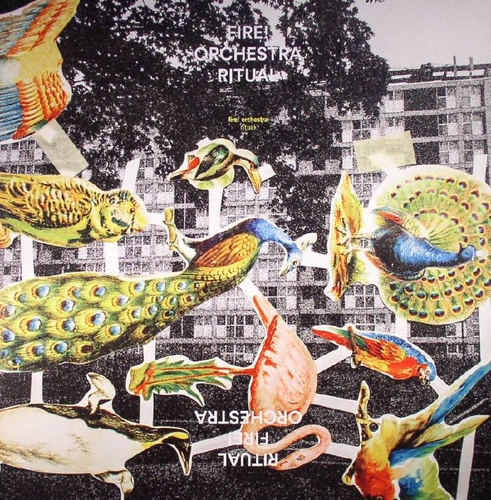 Couverture RITUAL de FIRE! ORCHESTRA